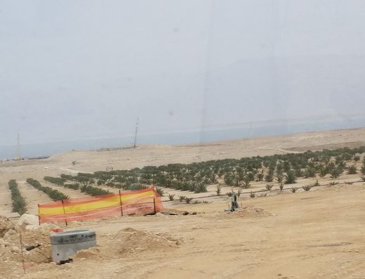 ים המלח
