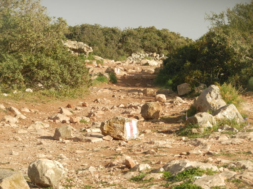 ארץ המעיינות מעיין עין יבוק - עין בוליבל - טיפ לה טריפ - tiplatrip