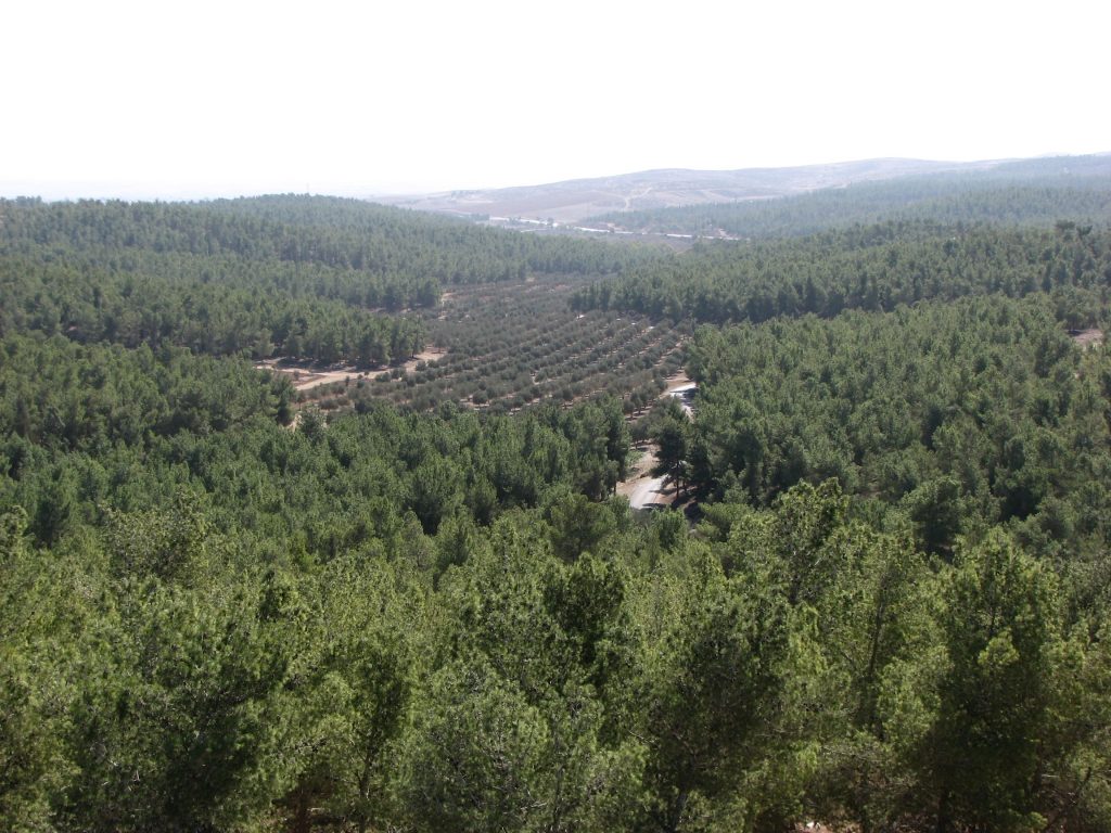 יער להב
